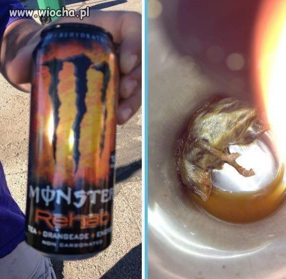 Mały monster w środku