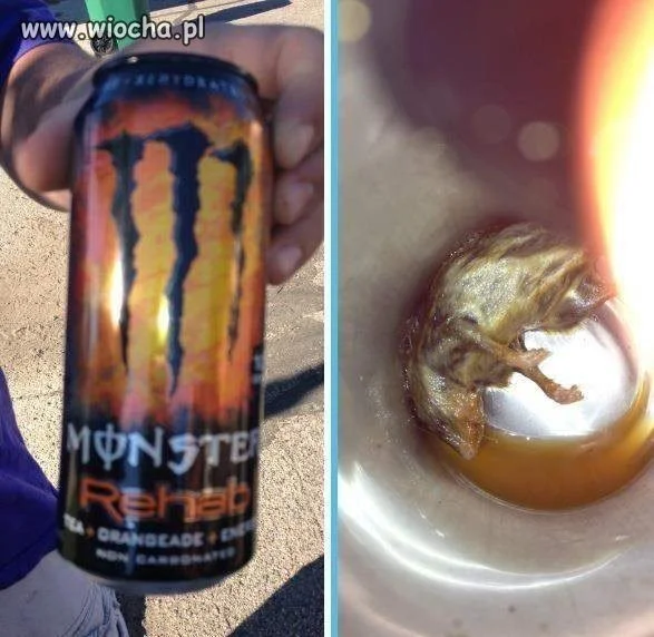 Mały monster w środku