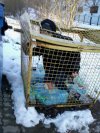 Orginalny pomysł na fote.