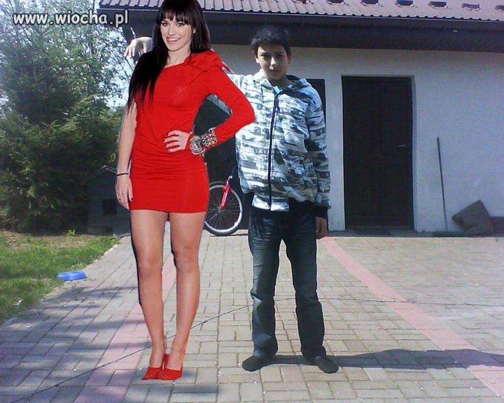 Mistrz Paita 