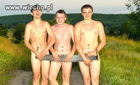 Piła 3 