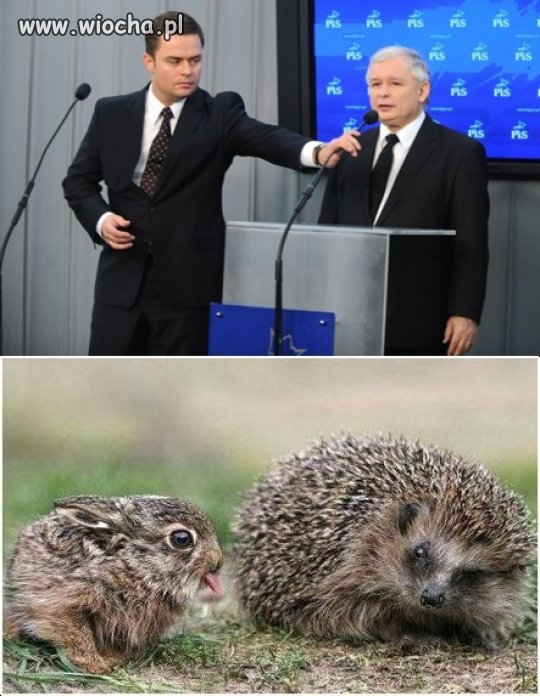 Nie każdy dupoliz ma w życiu łatwo