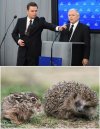 Nie każdy dupoliz ma w życiu łatwo