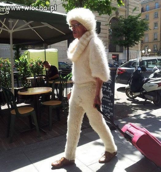 Nowa moda