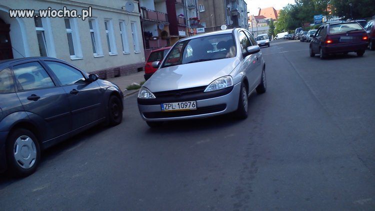 Mistrz parkowania