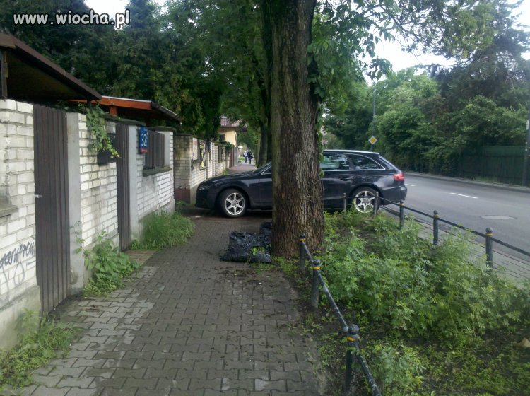 Kolejny mistrz parkowania 