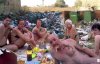 Piknik w przydomowym ogródku