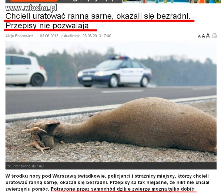 Człowiek, to brzmi dumnie...
