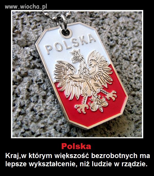 Większość bezrobotnych ma lepsze wykształcenie...
