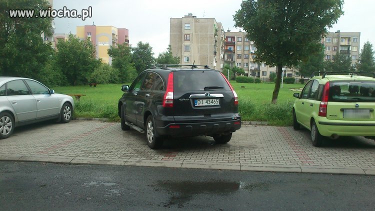 Mistrz parkowania