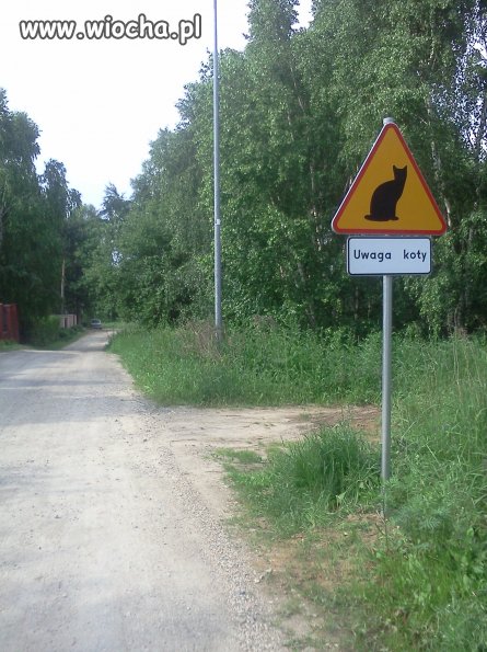 Strzeżcie się