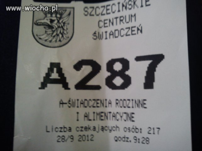 Godz.9:28 i 217 osób oczekujących...