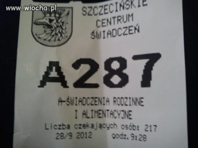 Godz.9:28 i 217 osób oczekujących...