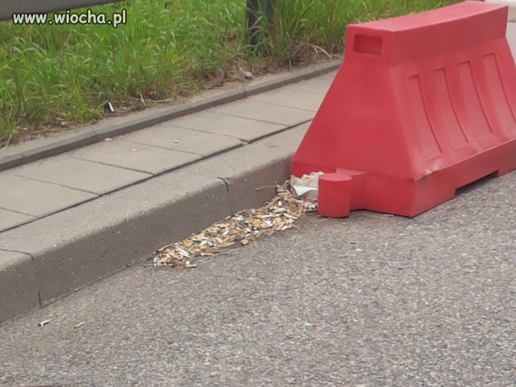 Myślisz, że pet za oknem się "zutylizuje"?