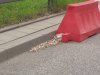 Myślisz, że pet za oknem się "zutylizuje"?