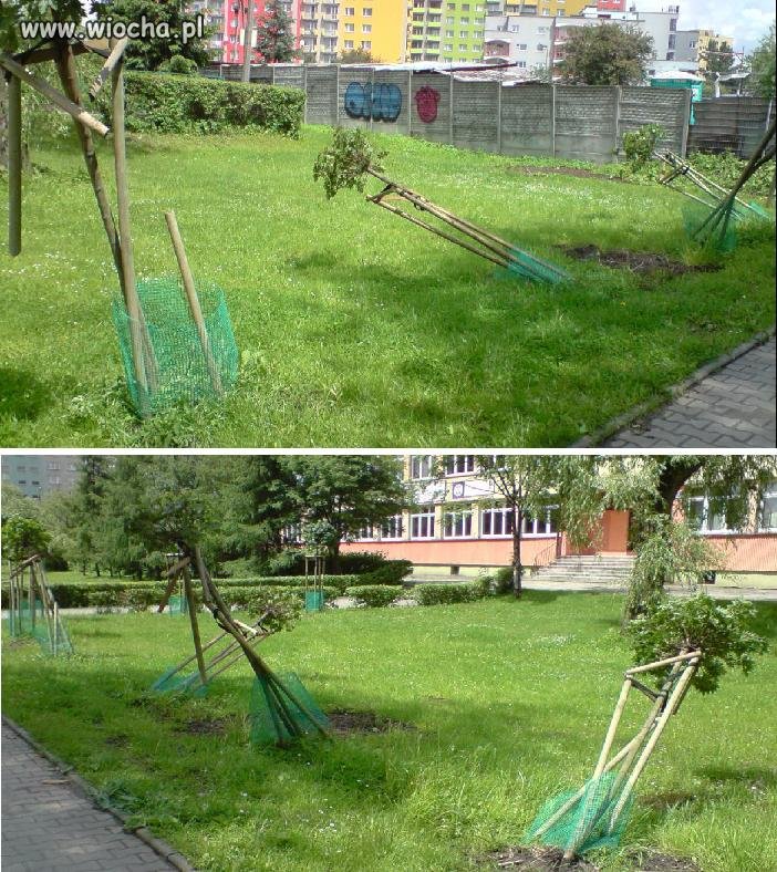 Gdy ŚCIERWA pokroju JP 100% wracają z dyskoteki...