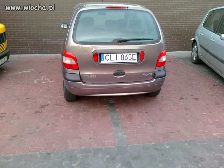 Łoś parkingowy - poziom master