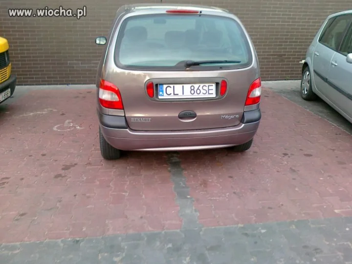 Łoś parkingowy - poziom master