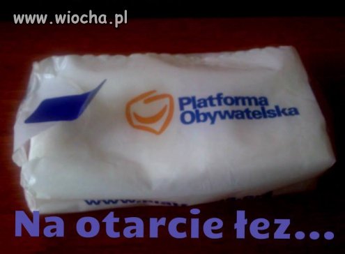 Głosowałem na PO