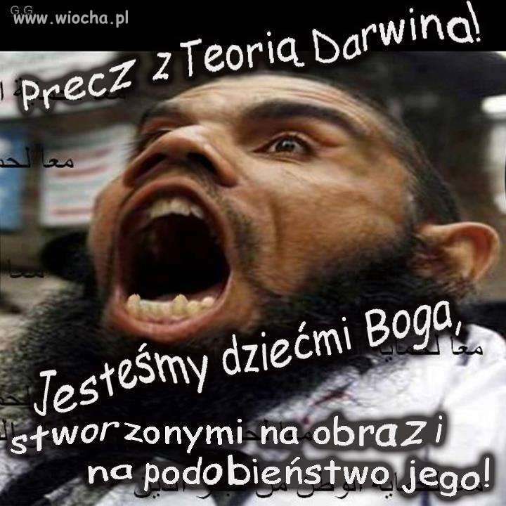 Tytuł nie potrzebny 
