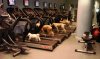Na "spacerze"