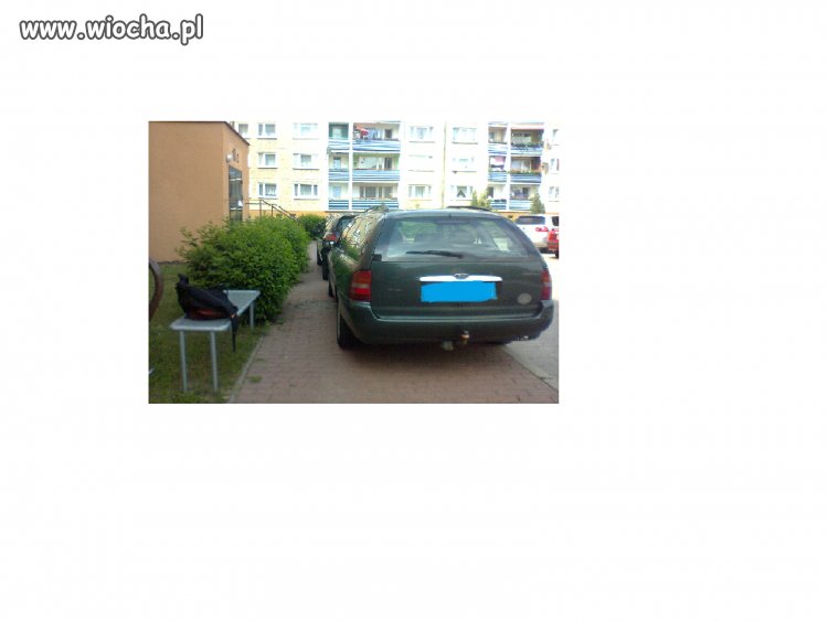 TAK PARKUJĄ W POLSCE