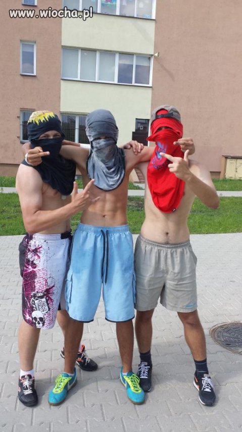 Brak tylko JP