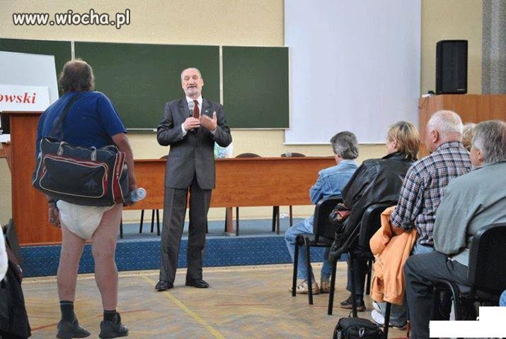 Ekspert brzozowy