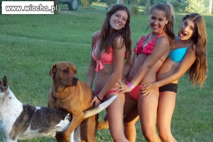 Kasia, Basia i Ola 