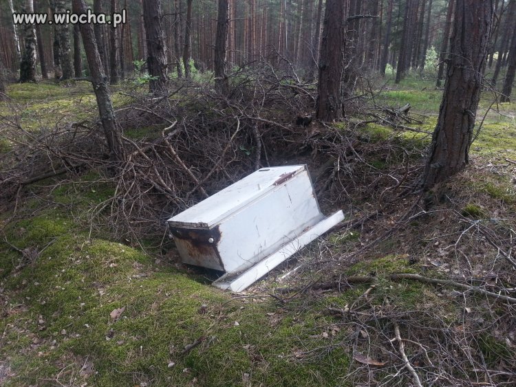 Szczyt chamstwa i buractwa