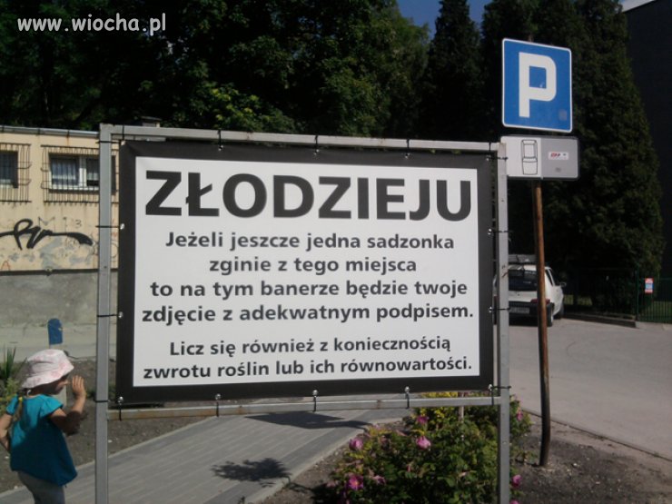 Ku przestrodze
