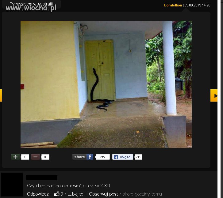 Niespodziewany gość...