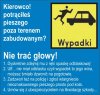 Wypadek. Rząd wpadł na pomysł,