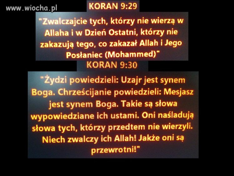Koran religia pokoju!