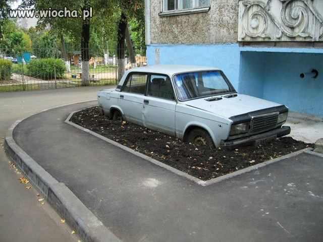 Kwietnik na osiedlu!