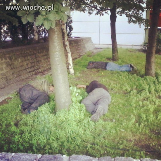 Poniósł cię melanż?