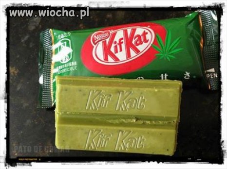 Dla każdego