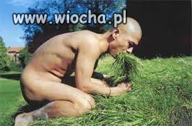 Żołądkowi też się należy