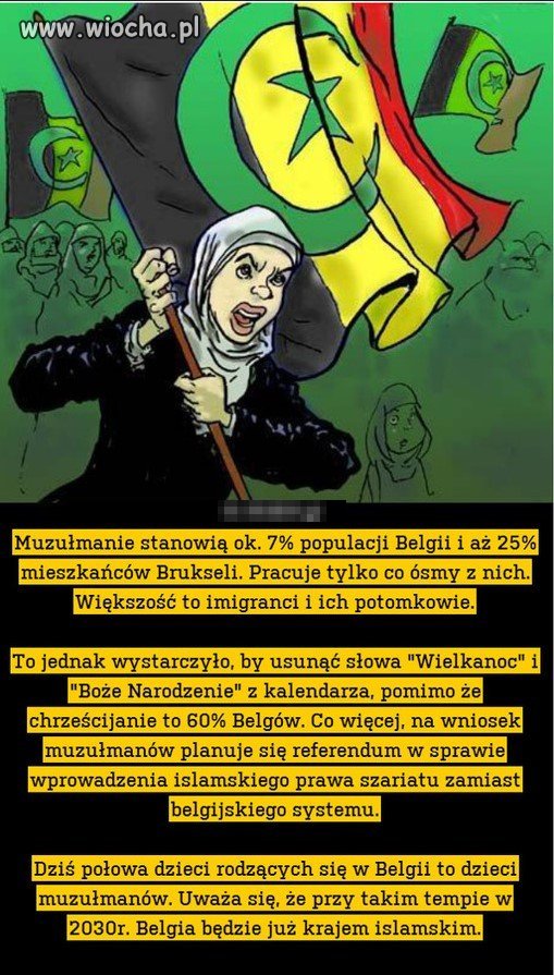 Belgia opanowana przez muzułmanów, kto następny?