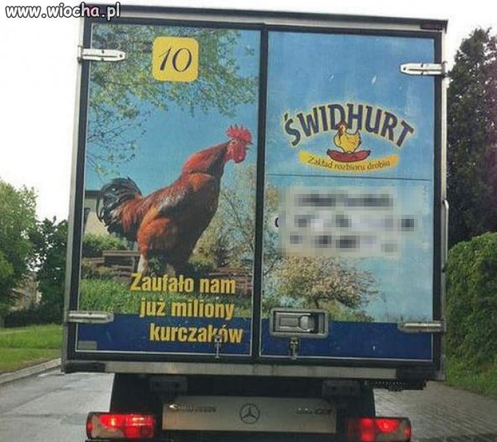 Pod Krakowem jest ubojnia