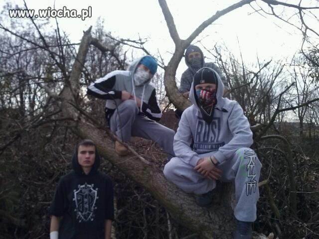 Wiochmenska gangsta