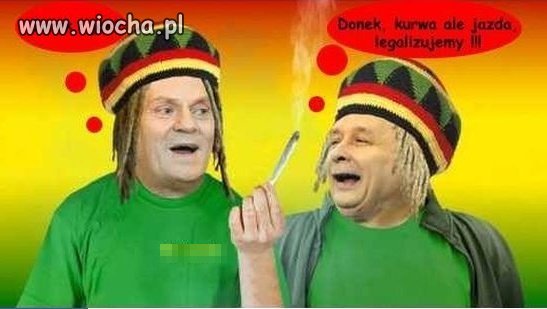 Jarek i Donek 