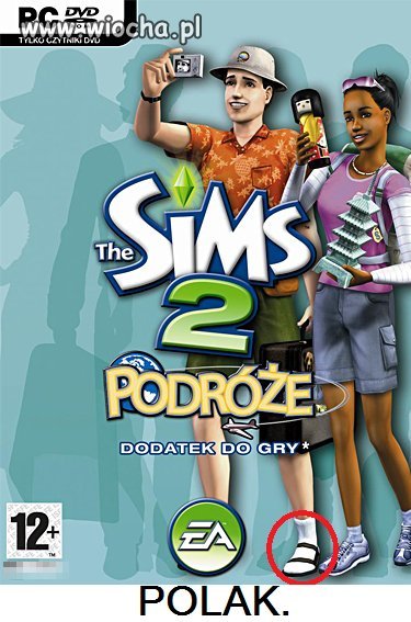 SIMS 2