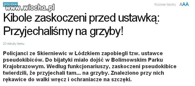 Kibole pojechali 