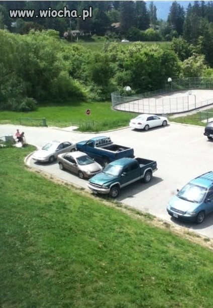 Mistrz mistrzowi przeparkował!