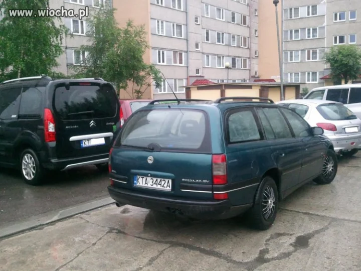 To dopiero WIOCHA.