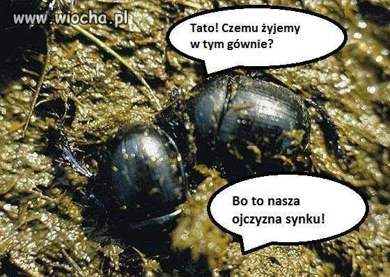 Tak wygląda zielona wyspa Donalda.