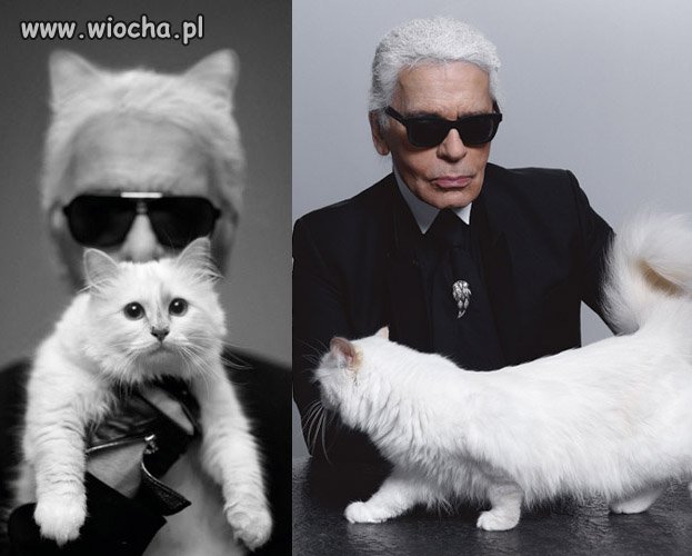 Karl Lagerfeld:"CHCĘ SIĘ OŻENIĆ Z MOJĄ KOTKĄ!"