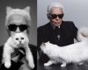 Karl Lagerfeld:"CHCĘ SIĘ OŻENIĆ Z MOJĄ KOTKĄ!"