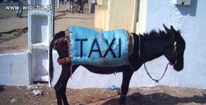 Taxi ekologiczne.